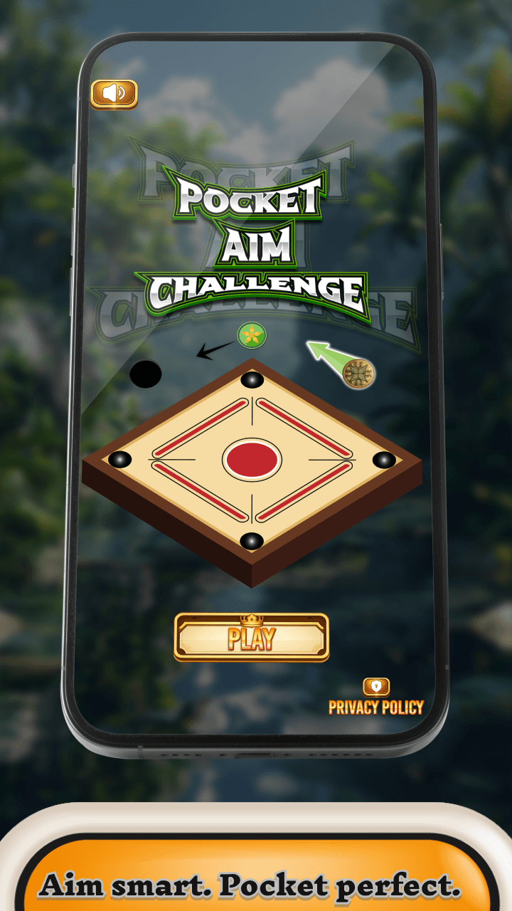 Pocket Aim Challenge artwork